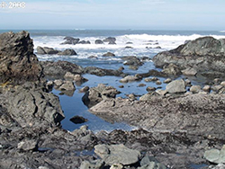 Gold Beach, Oregon